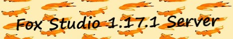 Fox Studio 1.17.1 Minecraft Server