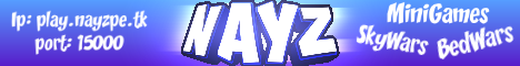 NayzPE MiniGames NayzPE MiniGames