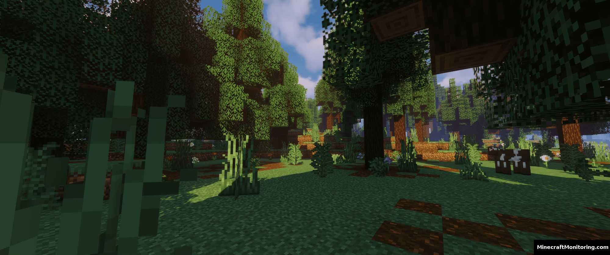 Скриншот сервера