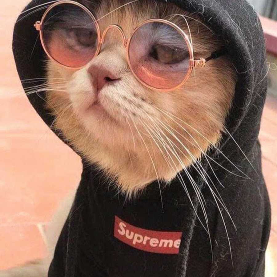 Скриншот сервера