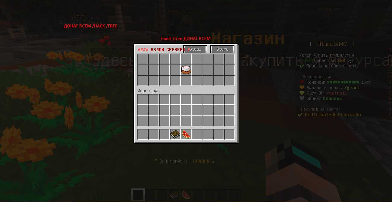 Скриншот сервера