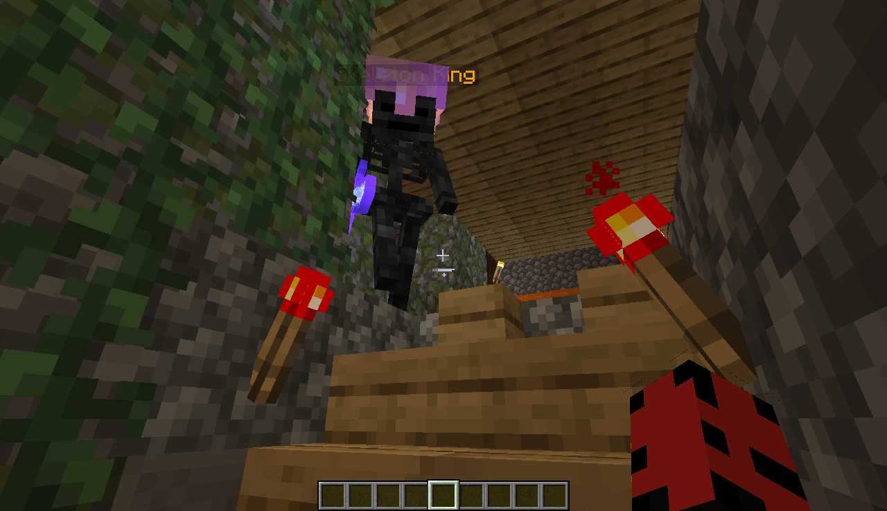 Скриншот сервера