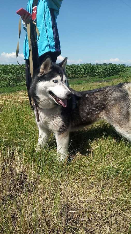 Скриншот сервера