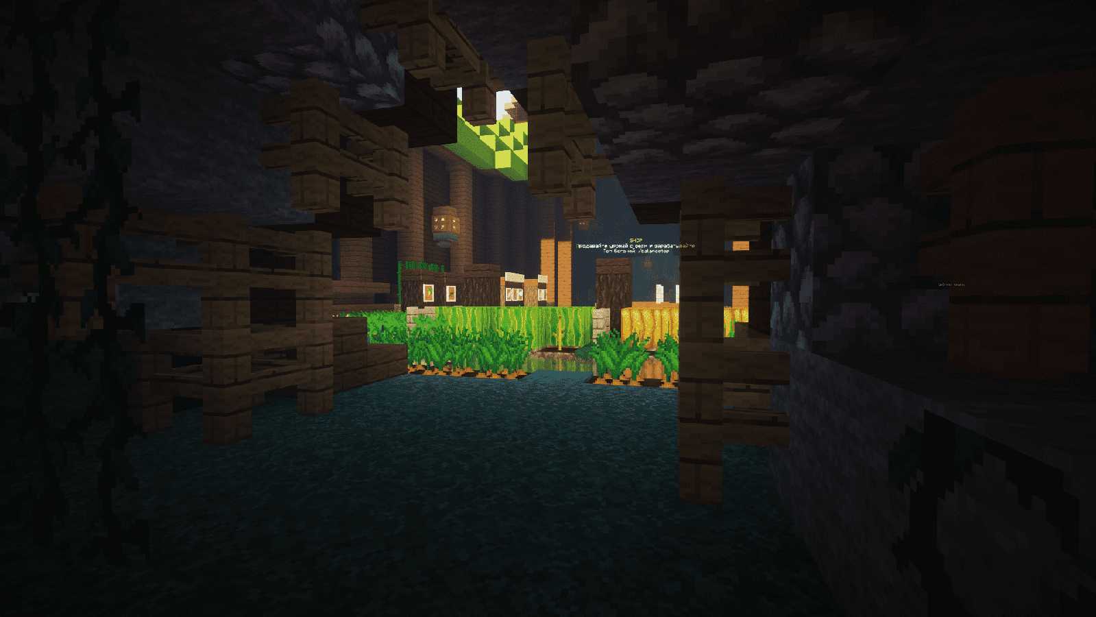 Скриншот сервера