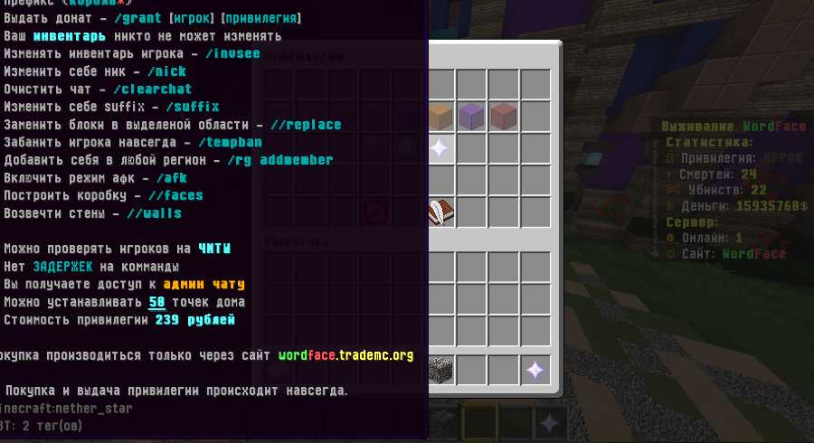 Скриншот сервера