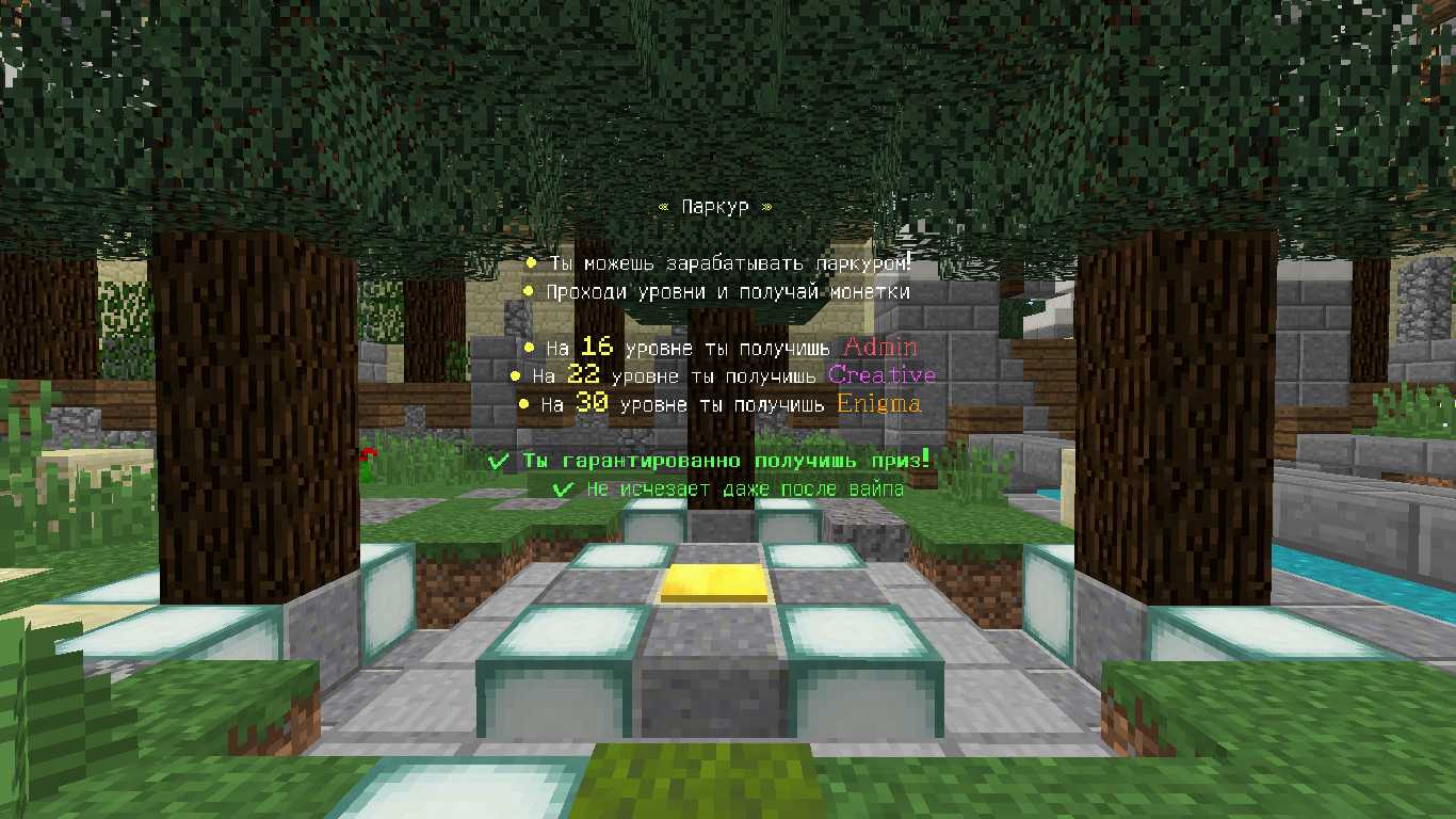 Скриншот сервера