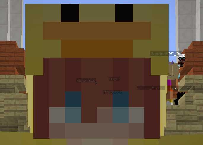 Скриншот сервера